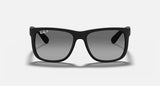 Ray-Ban Justin Classic Matte Black Frame/Grey Lens RB4165F 622/T3