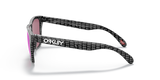 Oakley Frogskins Sunglasses Origins Collection Carbon Fiber Frame
