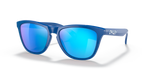 Oakley Frogskins Sunglasses Origins Collection Sapphire Frame