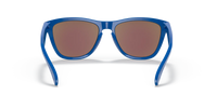Oakley Frogskins Sunglasses Origins Collection Sapphire Frame