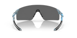Oakley EVZero Blades Sanctuary Collection Sunglass PRIZM Black Lens Low Bridge Fit